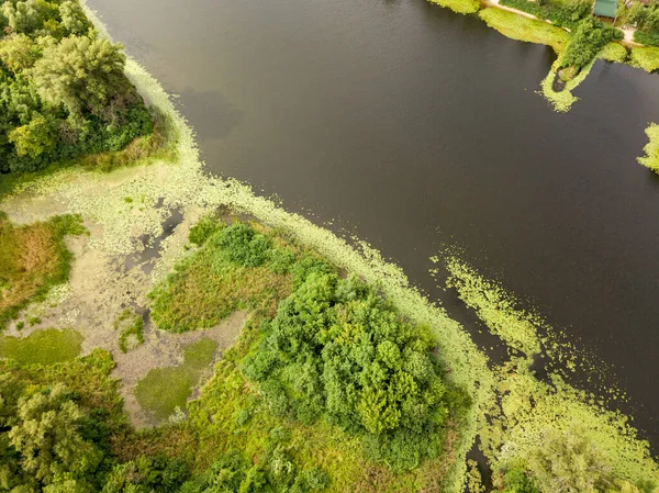 Hava Görüntüsü Dinyeper Nehrinin Yeşil Kıyısı Bir Yaz Gününde — Stok fotoğraf