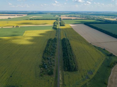 Hava aracı görüntüsü. Ukrayna 'daki ayçiçeği tarlası