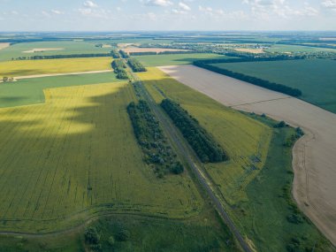 Hava aracı görüntüsü. Ukrayna 'daki ayçiçeği tarlası