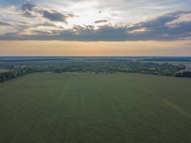 Hava aracı görüntüsü. Ukrayna kırsal arazisi.