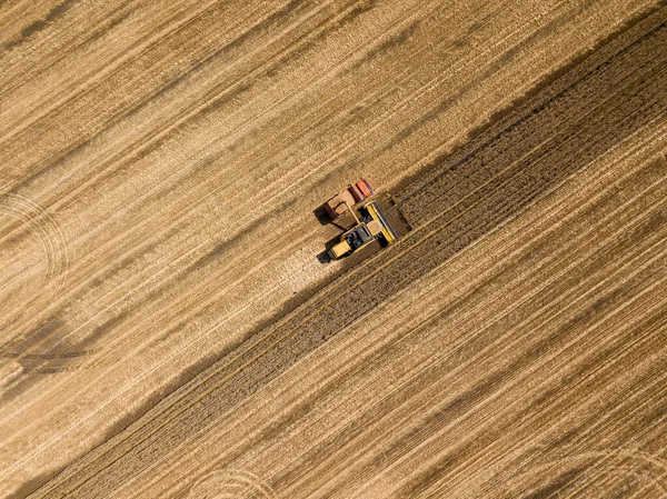 Вид Воздушного Беспилотника Механизированная Уборка Пшеницы Поле — стоковое фото