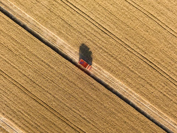 Luchtdrone Zicht Machinaal Oogsten Van Tarwe Het Veld — Stockfoto