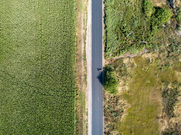 Droga Przez Pole Kukurydzy Widok Lotu Ptaka — Zdjęcie stockowe