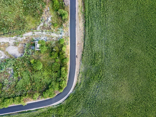 トウモロコシ畑への道 空中風景 — ストック写真