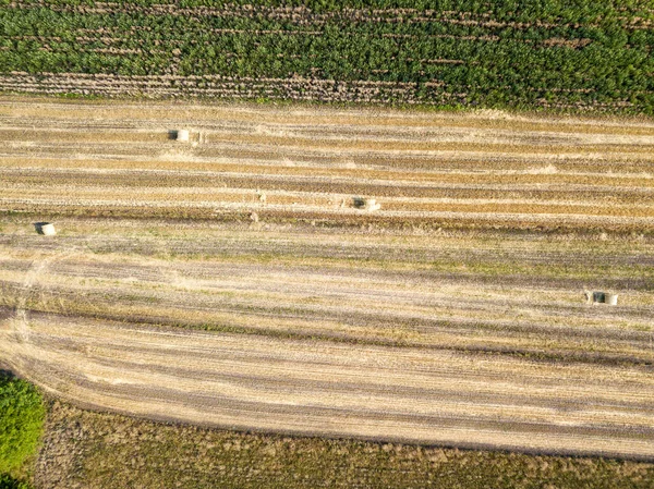 Oekraïense Landbouwvelden Uitzicht Drone Vanuit Lucht — Stockfoto