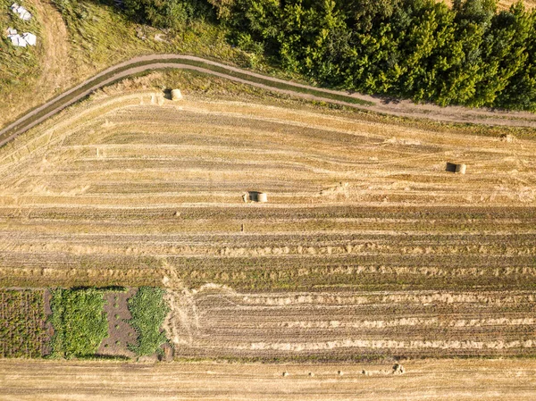 Campos Agrícolas Ucranianos Vista Aérea Drone — Fotografia de Stock