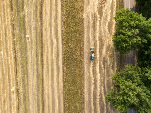 Veduta Aerea Del Drone Raccolta Meccanizzata Del Frumento Campo — Foto Stock