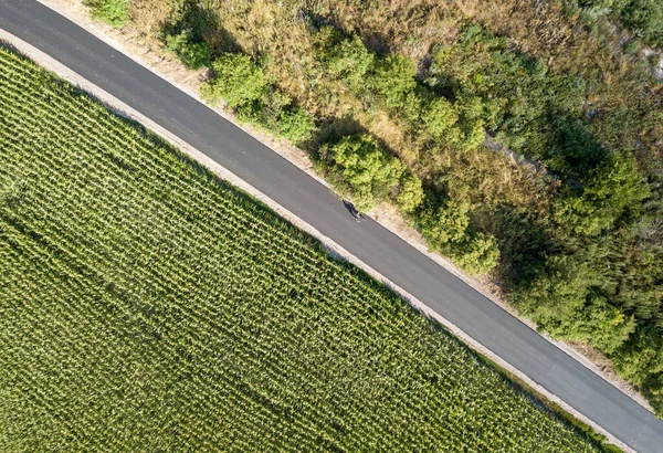 Route Travers Champ Maïs Vue Aérienne — Photo