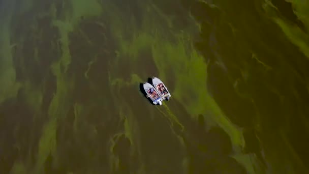 Bateau Pêche Navigue Parmi Les Algues Vertes Fleurs Images Aériennes — Video