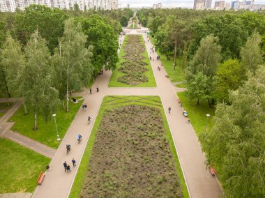 Hava aracı görüntüsü. Parktaki çiçek tarhı..