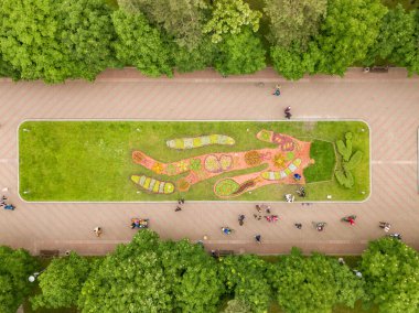 Hava aracı görüntüsü. Parktaki çiçek tarhı..