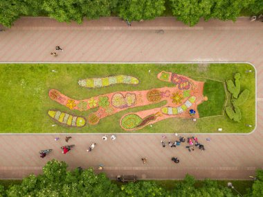 Hava aracı görüntüsü. Parktaki çiçek tarhı..