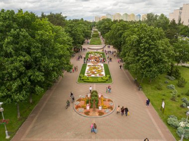 Hava aracı görüntüsü. Parktaki çiçek tarhı..