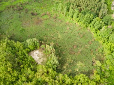 Hava aracı görüntüsü. Yeşil Orman.