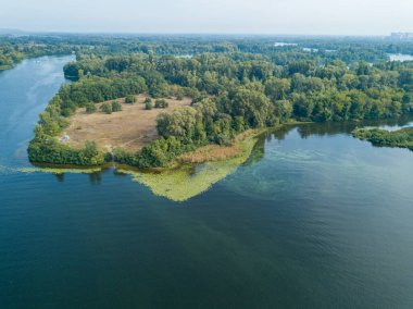 Hava aracı görüntüsü. Güneşli bir yaz gününde Dinyeper nehrinin yeşil kıyısında.
