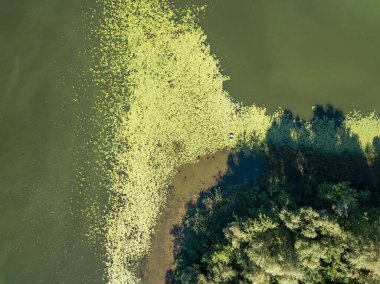 Güneşli bir yaz gününde Dinyeper nehrinin yeşil kıyısında. Hava aracı görünümü.