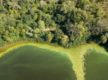 Güneşli bir yaz gününde Dinyeper nehrinin yeşil kıyısında. Hava aracı görünümü.