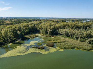 Güneşli bir yaz gününde Dinyeper nehrinin yeşil kıyısında. Hava aracı görünümü.