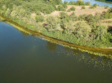 Güneşli bir yaz gününde Dinyeper nehrinin yeşil kıyısında. Hava aracı görünümü.