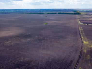 Hava görüntüsü. İlkbaharda Ukrayna tarım alanları.