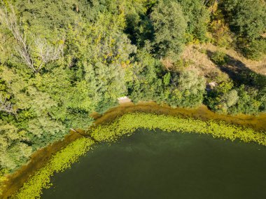 Güneşli bir yaz gününde Dinyeper nehrinin yeşil kıyısında. Hava aracı görünümü.