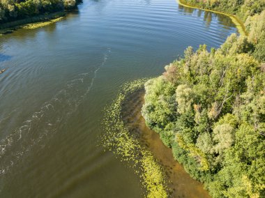 Güneşli bir yaz gününde Dinyeper nehrinin yeşil kıyısında. Hava aracı görünümü.