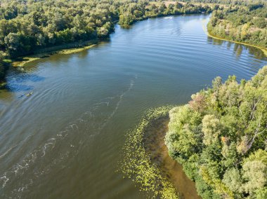 Güneşli bir yaz gününde Dinyeper nehrinin yeşil kıyısında. Hava aracı görünümü.