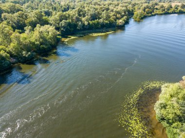 Güneşli bir yaz gününde Dinyeper nehrinin yeşil kıyısında. Hava aracı görünümü.
