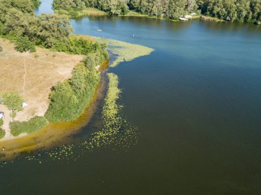Güneşli bir yaz gününde Dinyeper nehrinin yeşil kıyısında. Hava aracı görünümü.