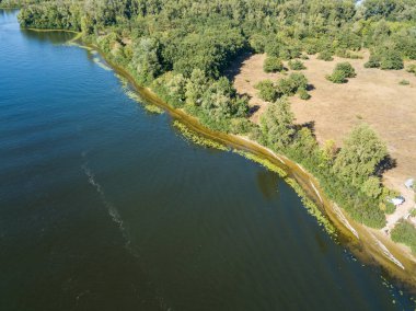 Güneşli bir yaz gününde Dinyeper nehrinin yeşil kıyısında. Hava aracı görünümü.