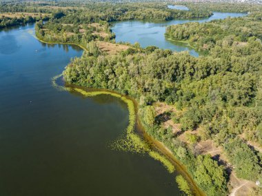 Güneşli bir yaz gününde Dinyeper nehrinin yeşil kıyısında. Hava aracı görünümü.
