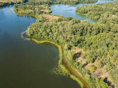 Güneşli bir yaz gününde Dinyeper nehrinin yeşil kıyısında. Hava aracı görünümü.