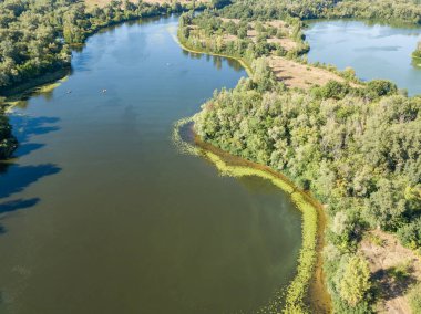 Güneşli bir yaz gününde Dinyeper nehrinin yeşil kıyısında. Hava aracı görünümü.