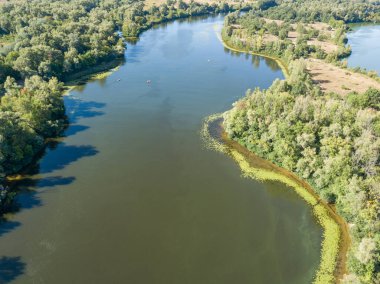 Güneşli bir yaz gününde Dinyeper nehrinin yeşil kıyısında. Hava aracı görünümü.