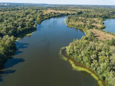 Güneşli bir yaz gününde Dinyeper nehrinin yeşil kıyısında. Hava aracı görünümü.
