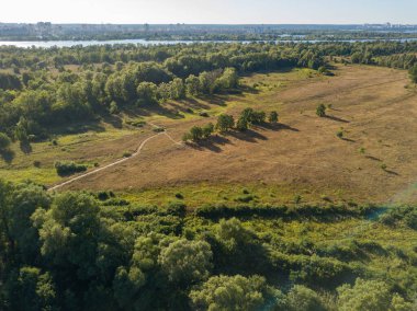 Hava aracı görüntüsü. Yeşil çayırlar ve seyrek ağaçlar bir yaz günü.