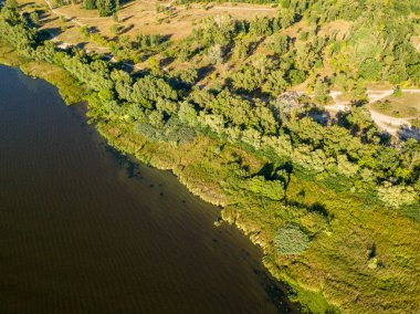 Güneşli bir yaz gününde Dinyeper nehrinin yeşil kıyısında. Hava aracı görünümü.