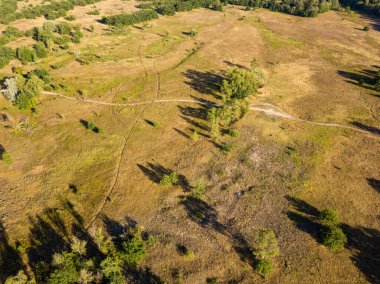 Hava aracı görüntüsü. Adadaki yeşil bir çayırdan geçen toprak yol..