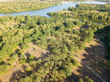 Hava aracı görüntüsü. Nehir kenarındaki yeşil çayırlar.