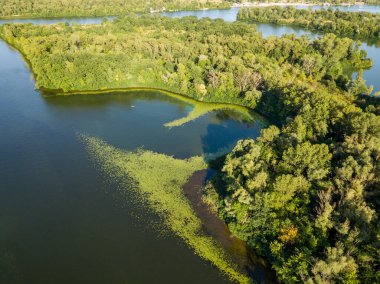 Güneşli bir yaz gününde Dinyeper nehrinin yeşil kıyısında. Hava aracı görünümü.