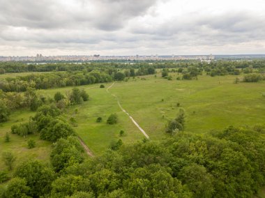 Hava aracı görüntüsü. Baharda yeşil çayır.