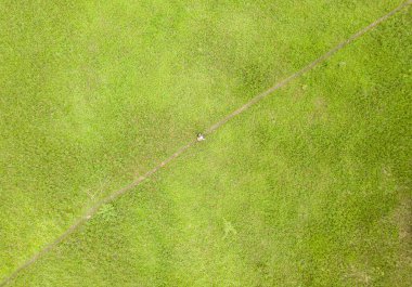 Hava aracı görüntüsü. Baharda yeşil çayır.