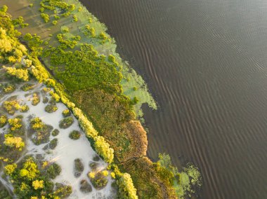 Hava aracı görüntüsü. Akşam Kiev 'deki Dinyeper Nehri kıyısında batan güneşin altında.