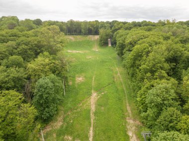 Hava aracı görüntüsü. Yeşil bahar ormanı