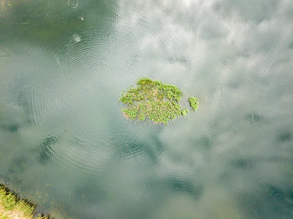 Hava Görüntüsü Kiev Parkı Ndaki Göl — Stok fotoğraf