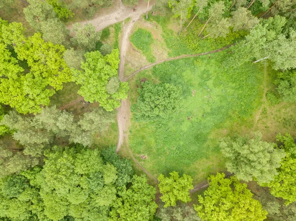 Vista Aérea Del Dron Árboles Parque — Foto de Stock