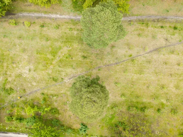 Vue Aérienne Sur Drone Forêt Verte — Photo