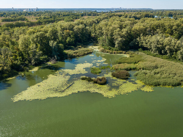 Green bank of the Dnieper river on a summer sunny day. Aerial drone view.