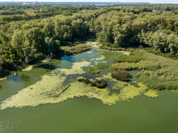 Güneşli bir yaz gününde Dinyeper nehrinin yeşil kıyısında. Hava aracı görünümü.