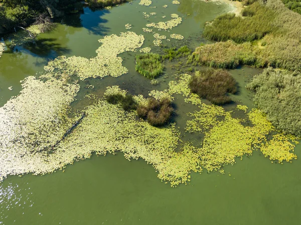 Zelený Břeh Řeky Dněpru Letního Slunečného Dne Zobrazení Leteckých Dronů — Stock fotografie